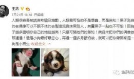 圈内爆料王杰事件,圈内爆料背后的真相与争议