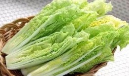 有机蔬菜爆料怎么做视频,揭秘视频制作全攻略